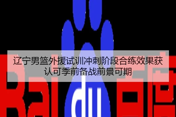 辽宁男篮外援试训冲刺阶段合练效果获认可季前备战前景可期