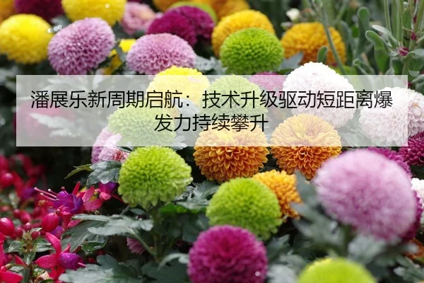 潘展乐新周期启航：技术升级驱动短距离爆发力持续攀升