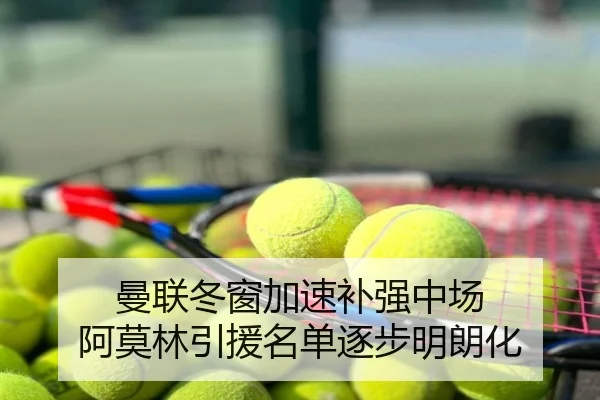 曼联冬窗加速补强中场 阿莫林引援名单逐步明朗化